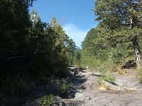 rrente Quarantore-20110911 030